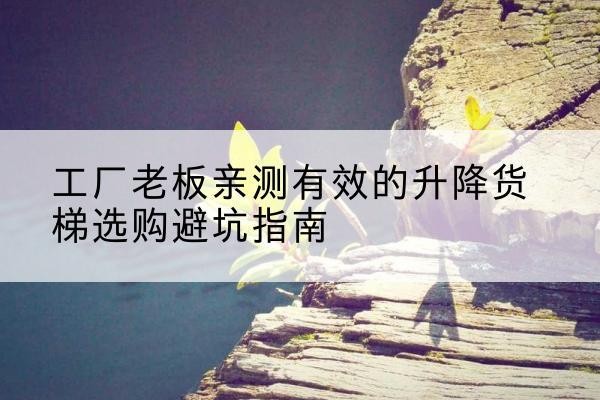 昌宁升降货梯怎么选-工厂老板亲测有效的升降货梯选购避坑指南