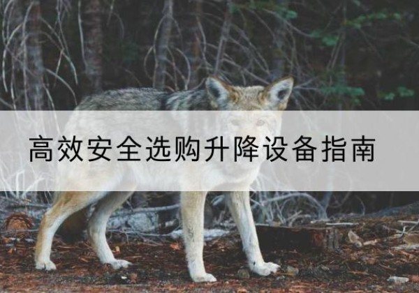 昌宁升降货梯厂家推荐-*安全选购升降设备指南