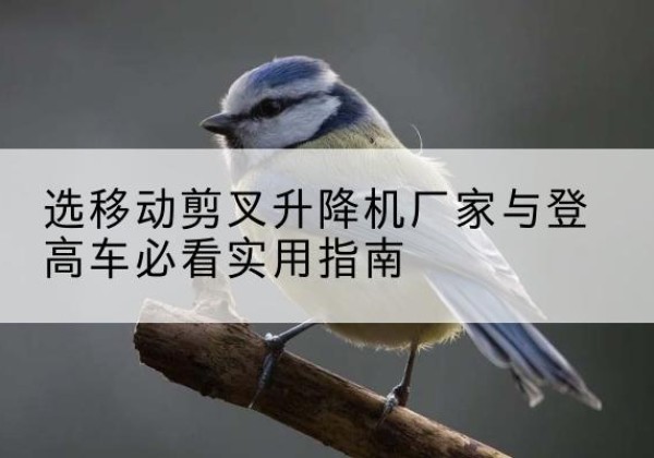 昌宁电动升降机厂家-选移动剪叉升降机厂家与登高车必看实用指南