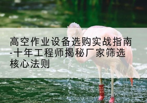 昌宁剪叉式升降机厂家-高空作业设备选购实战指南-十年工程师揭秘厂家筛选核心法则